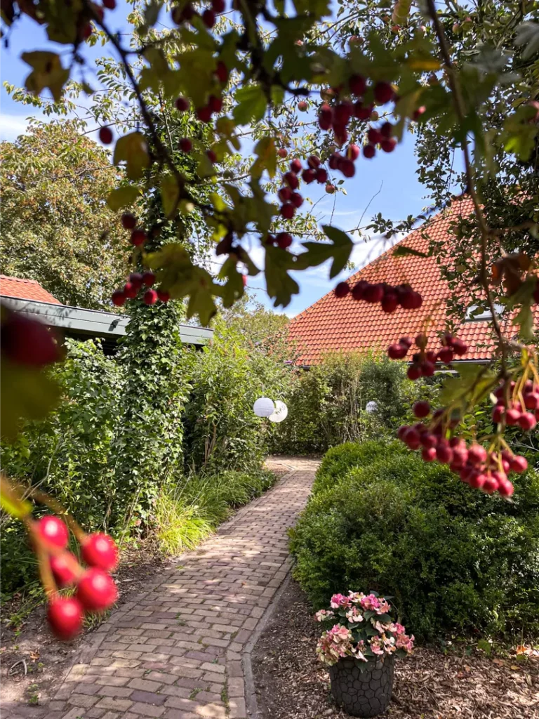 bruiloft-hoeve-vianen-texel1